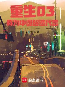 2003从外贸开始篱笆好文学
