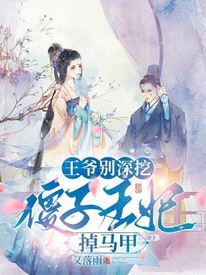 王爷傻妃穿越