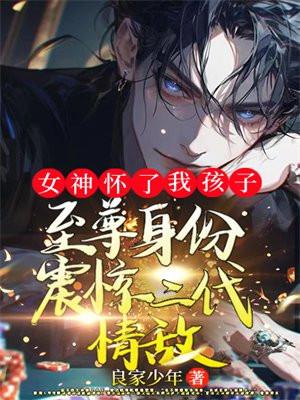 我怀了女神的孩子gl165