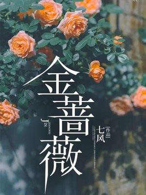 金蔷薇豆瓣评分