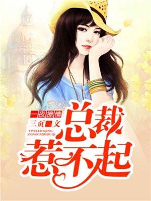 一夜总裁