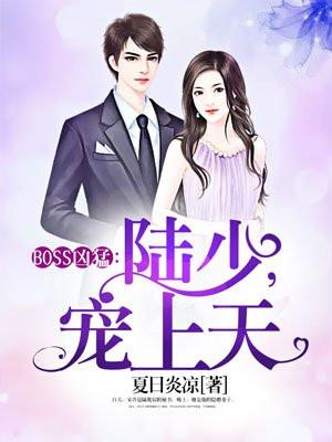 隐婚BOSS陆少