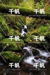 患难与共的意思是什么意思啊