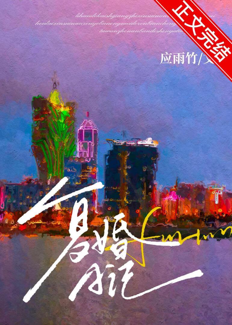 复婚日记txt百度