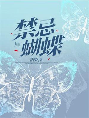 禁忌蝴蝶晋江