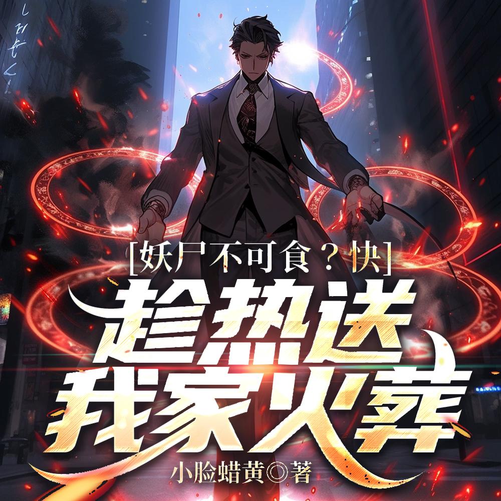最后的十三城TXT