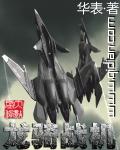 龙骑战机笔趣阁无错版