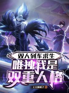 双人车类游戏大全