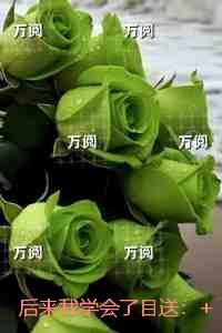 后来我学会了成长作文