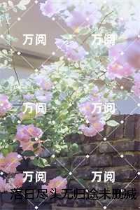 落日余晖的尽头