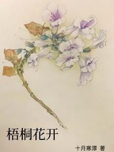 梦到梧桐花开